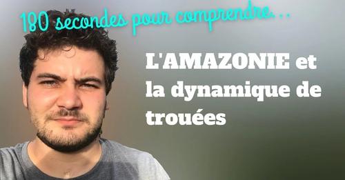 [Parc Amazonien] 3min pour comprendre… La dynamique de trouées en forêts exploitées