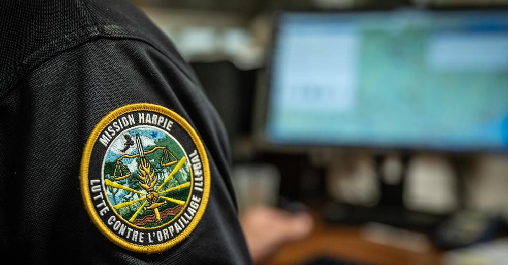 [Gendarmerie] Guyane : le Centre de conduite des opérations (CCO) s’active jour et nuit dans la lutte contre l’orpaillage illégal