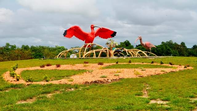 [Sinnamary]  Partez à la découverte de Sinnamary, petit bout de la Guyane dans le bassin des…